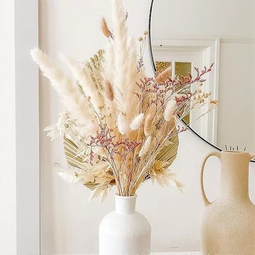Pampas Secas Decoracion, Hierba Natural de la Pampa Seca Flores Secas Naturales Deco DIY Ramo de Flores secas para decoración Boho en jarrón de arreglo, hogar, Sala de Estar, Cocina o Boda (C-50)
