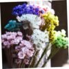 GOOHOCHY 30 Piezas Accesorios De Flores Eternas Margarita Flor Seca Flor Artificial Flores Artificiales Tapón Debajo del Sofá Flores Secas Flor Preservada Margarita Rosa Mini Ramo