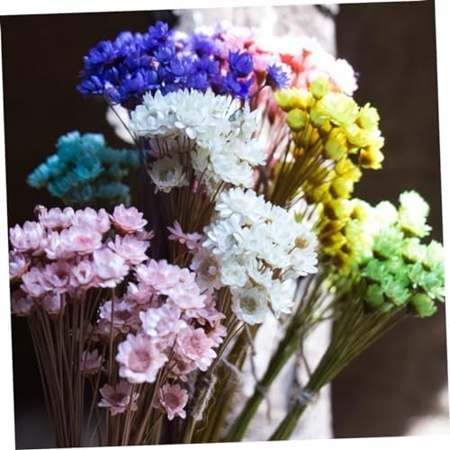 GOOHOCHY 30 Piezas Accesorios De Flores Eternas Margarita Flor Seca Flor Artificial Flores Artificiales Tapón Debajo del Sofá Flores Secas Flor Preservada Margarita Rosa Mini Ramo