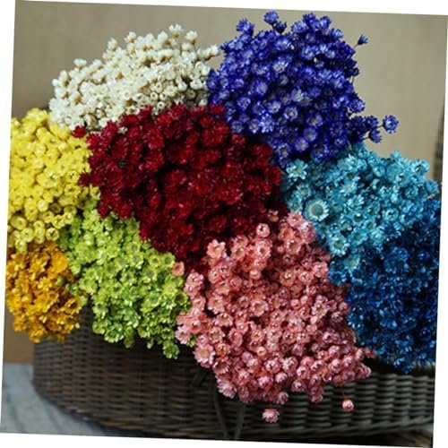 GOOHOCHY 30 Piezas Accesorios De Flores Eternas Margarita Flor Seca Flor Artificial Flores Artificiales Tapón Debajo del Sofá Flores Secas Flor Preservada Margarita Rosa Mini Ramo