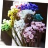 GOOHOCHY 30 Piezas Accesorios De Flores Eternas Margarita Flor Seca Flor Artificial Flores Artificiales Tapón Debajo del Sofá Flores Secas Flor Preservada Margarita Rosa Mini Ramo