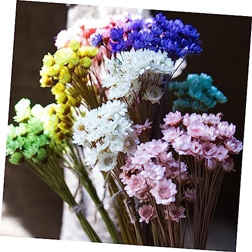 GOOHOCHY 30 Piezas Accesorios De Flores Eternas Margarita Flor Seca Flor Artificial Flores Artificiales Tapón Debajo del Sofá Flores Secas Flor Preservada Margarita Rosa Mini Ramo