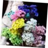 GOOHOCHY 30 Piezas Accesorios De Flores Eternas Margarita Flor Seca Flor Artificial Flores Artificiales Tapón Debajo del Sofá Flores Secas Flor Preservada Margarita Rosa Mini Ramo
