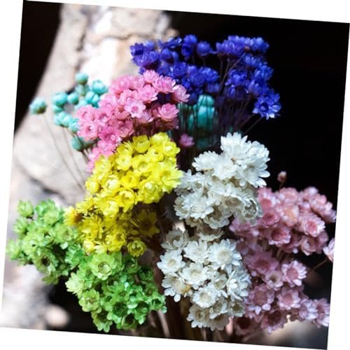 GOOHOCHY 30 Piezas Accesorios De Flores Eternas Margarita Flor Seca Flor Artificial Flores Artificiales Tapón Debajo del Sofá Flores Secas Flor Preservada Margarita Rosa Mini Ramo